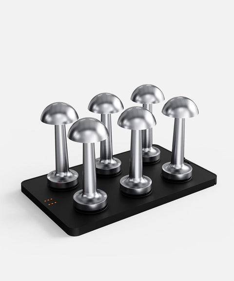 Plateau de chargement N1 (6 lampes) 